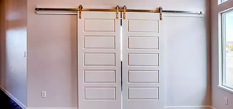 Glass Barn Door with Installation Hardware Kit Arnold
